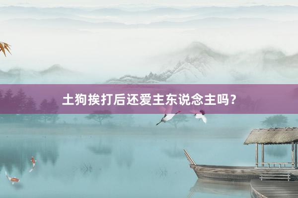 土狗挨打后还爱主东说念主吗？